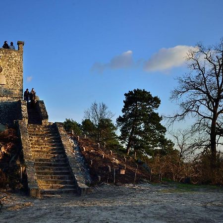 Le Denecourt - A Deux Pas De La Gare Et De La Foret De Fontainebleau Avon Dış mekan fotoğraf